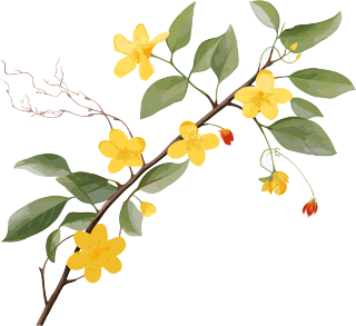 黄花枝丫PNG图形素材