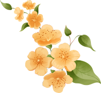 黄色花朵素材