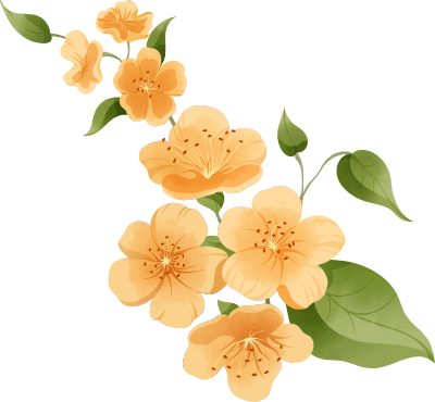 黄色花朵素材