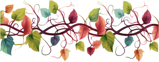 绿植透明背景的矢量粉彩扁平插画