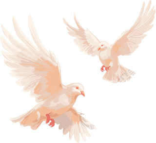 透明背景的生动鸽子插画设计素材