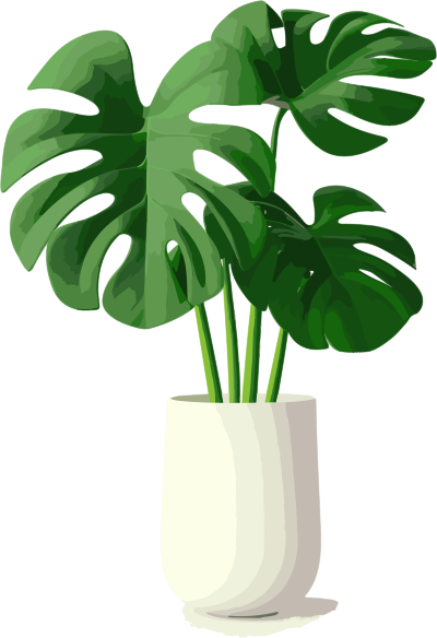 3D透明背景独立蕨叶素材
