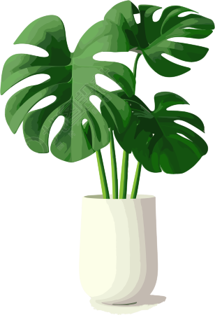 3D透明背景独立蕨叶素材