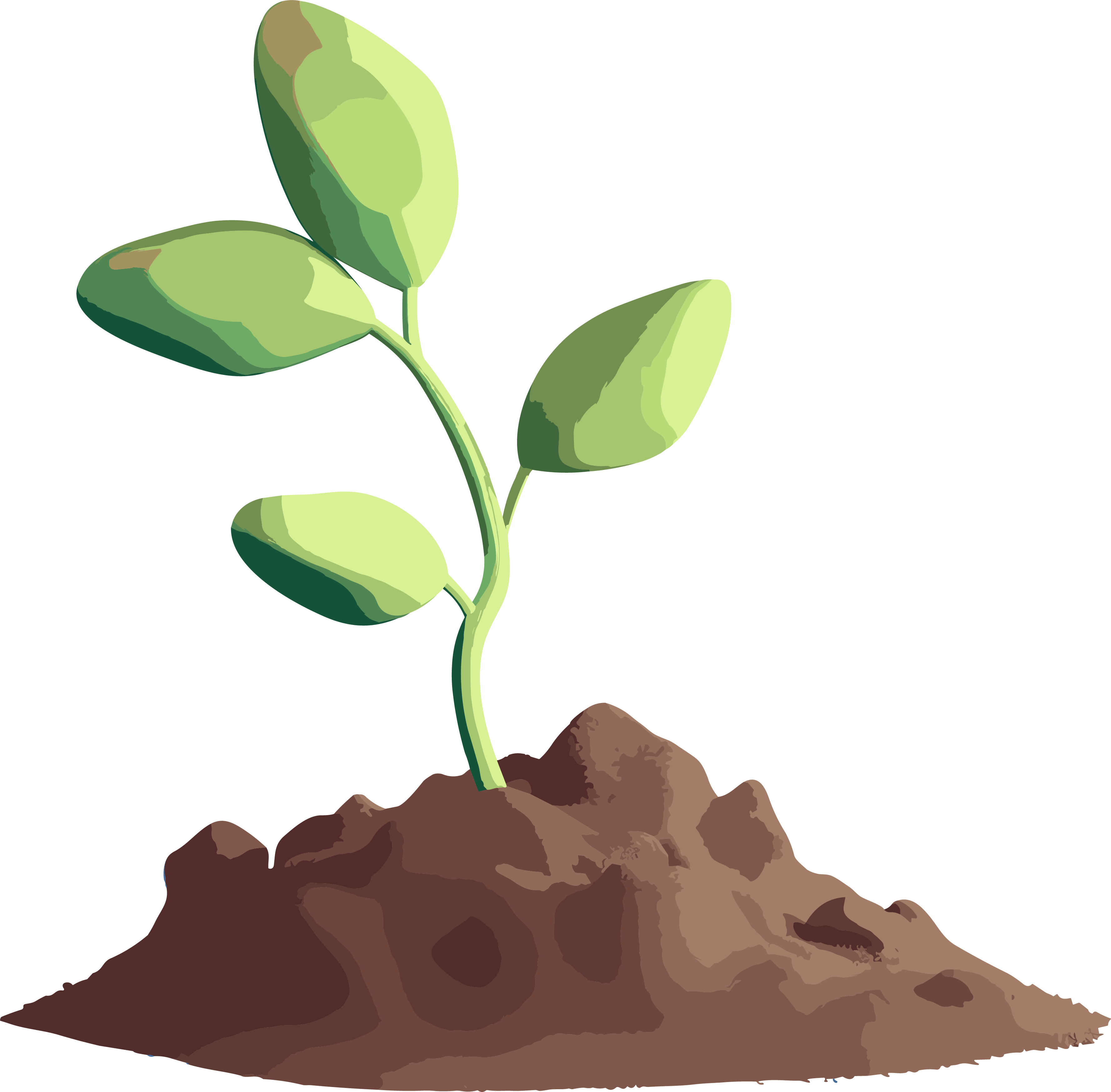 植物发芽的3D图像插画