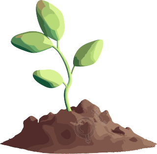 植物发芽的3D图像插画