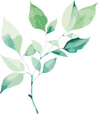 水彩叶子插画设计素材