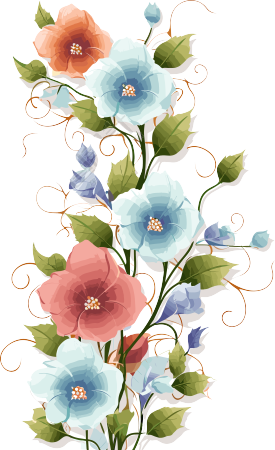 花藤矢量插画设计
