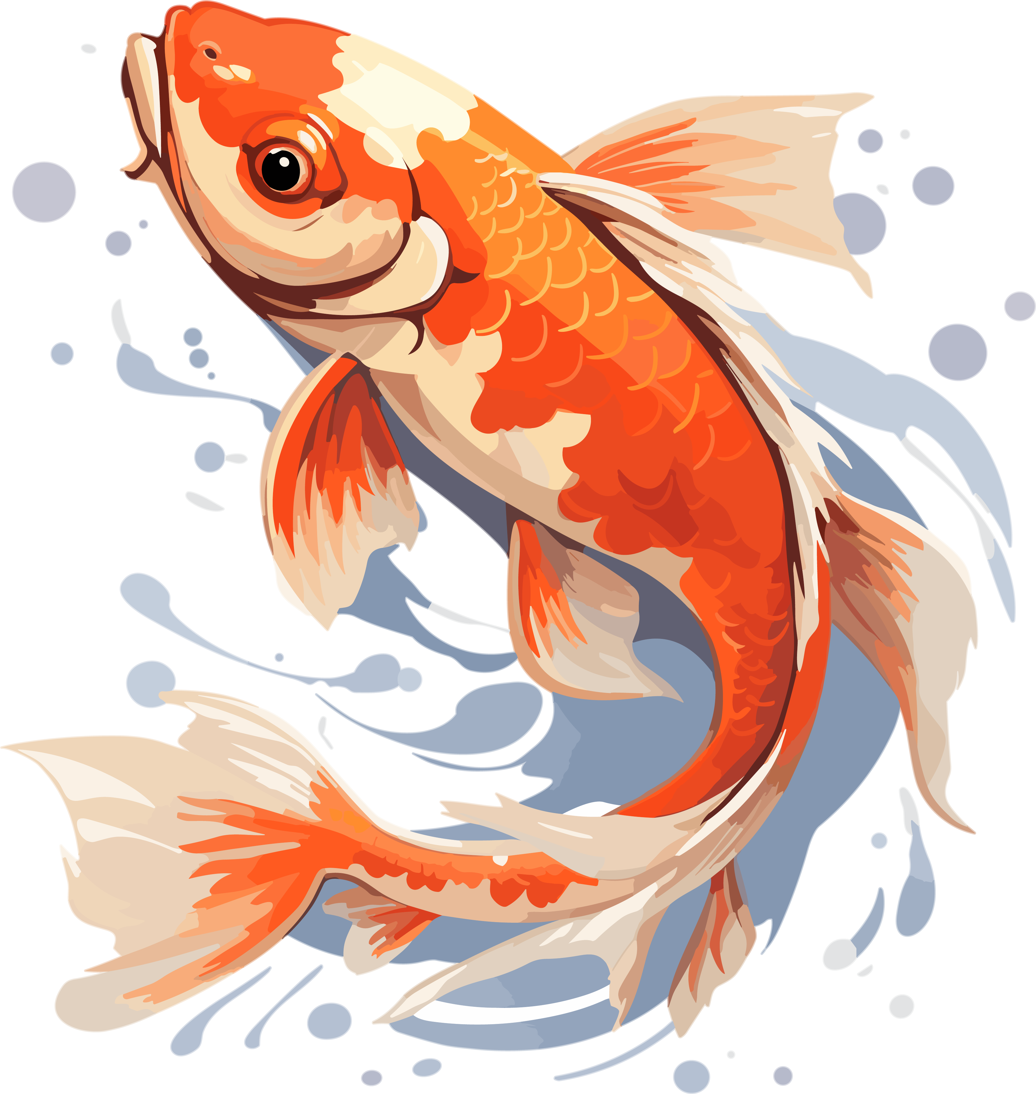 东方锦鲤透明背景可商用插画设计