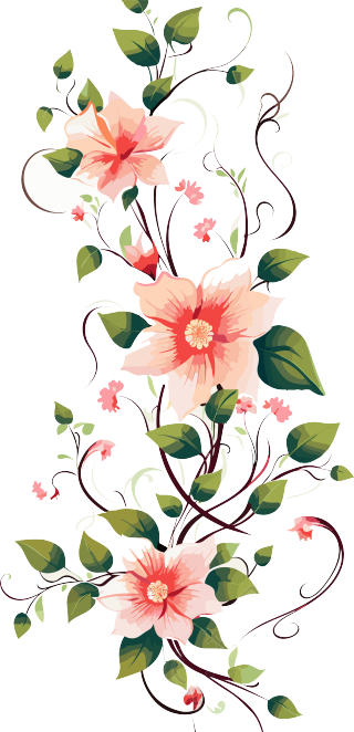透明背景花藤插画设计元素