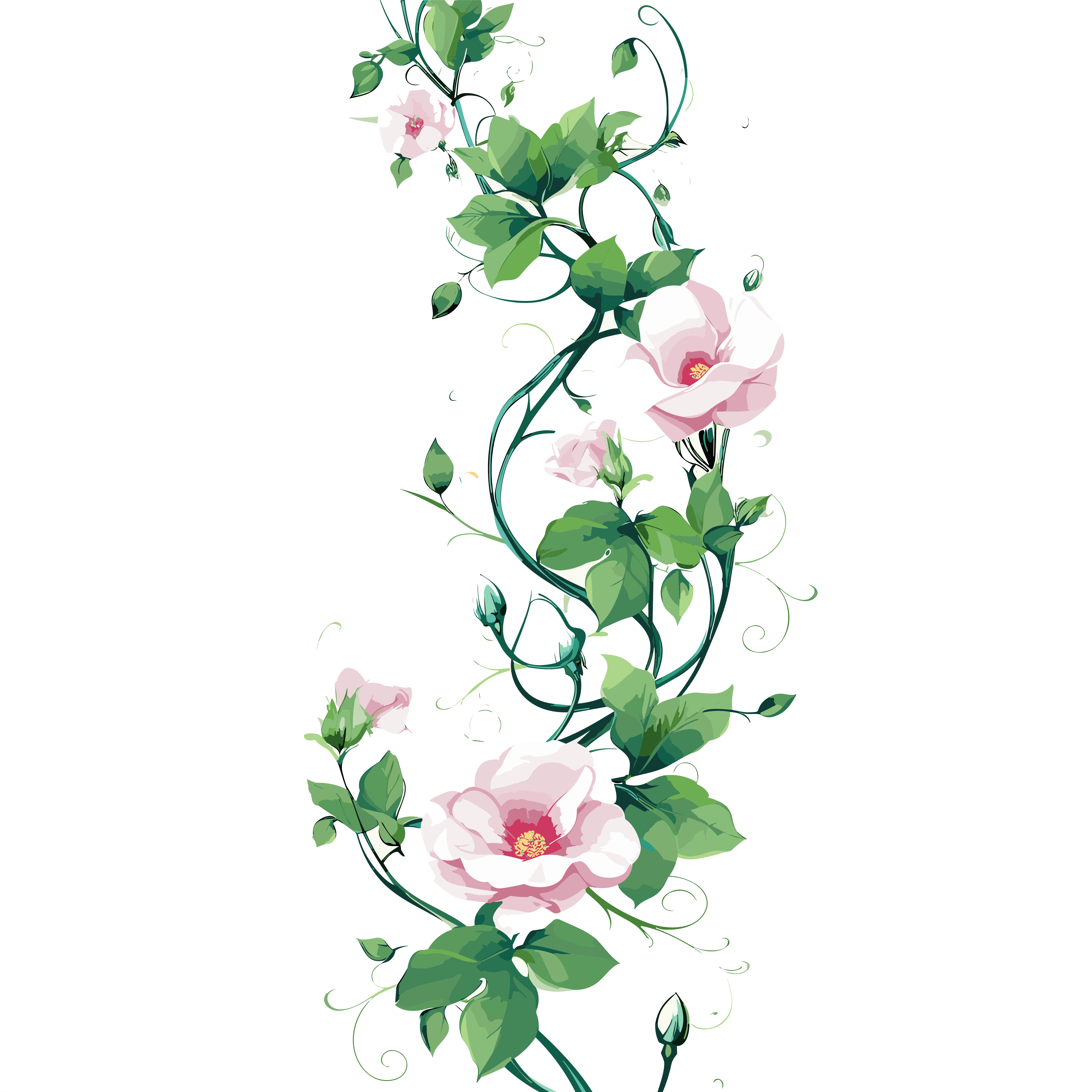 藤蔓矢量插画设计元素