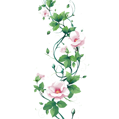 藤蔓矢量插画设计元素