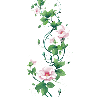 藤蔓矢量插画设计元素