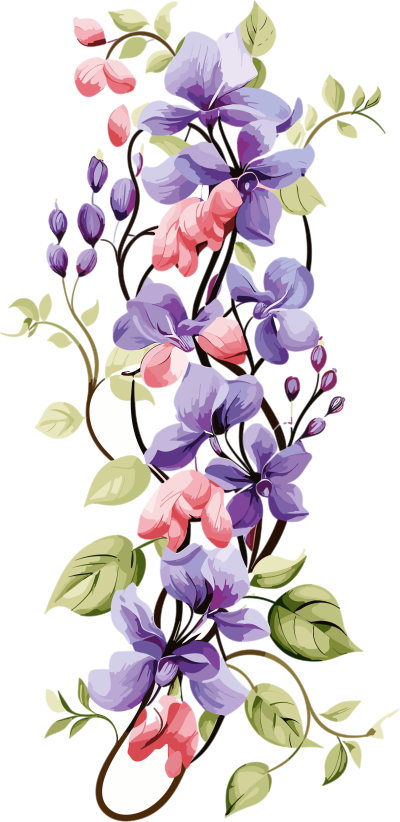 透明背景花藤矢量插画