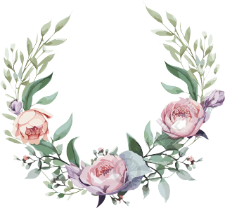 水彩线条描绘的两片叶子和玫瑰花插画