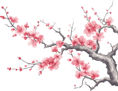 绽放的唯美粉色梅花插画设计