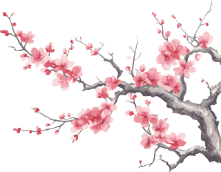 绽放的唯美粉色梅花插画设计
