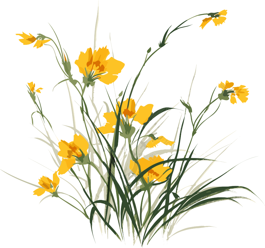 水彩画风格黄色水仙花插画设计