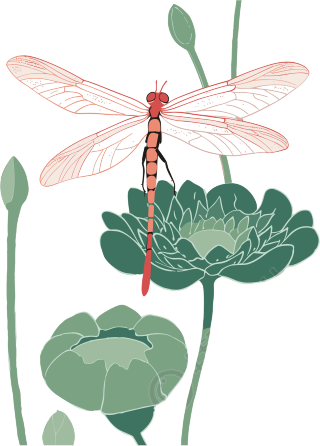 蜻蜓荷花印刷艺术品创意素材