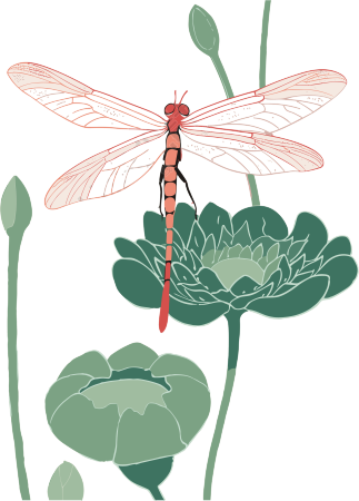 蜻蜓荷花印刷艺术品创意素材