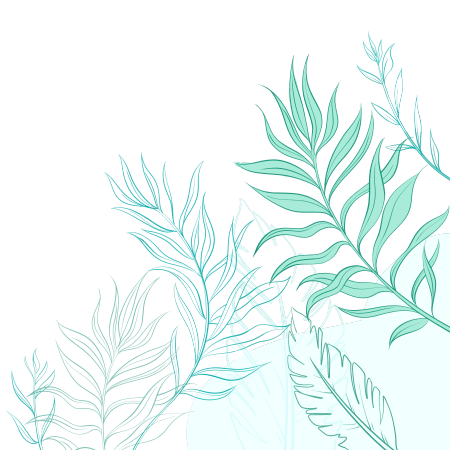 绿色线条叶子手绘插画透明背景