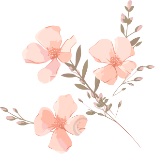 可爱小粉花的插画素材