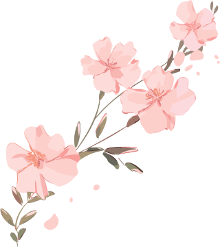 可爱小粉花白底图元素