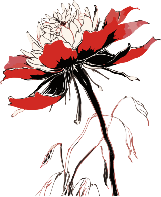中国艺术风格的黑白花卉插画