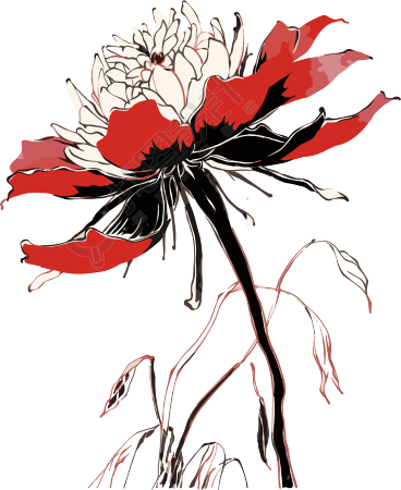 中国艺术风格的黑白花卉插画