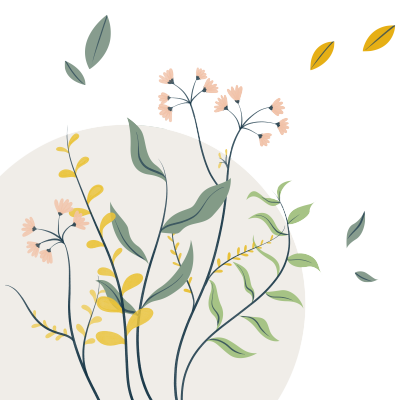 透明背景小清新花卉树叶商用插画