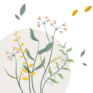 透明背景小清新花卉树叶商用插画