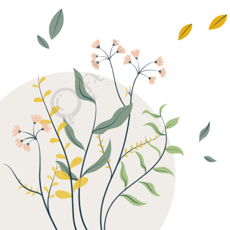 透明背景小清新花卉树叶商用插画