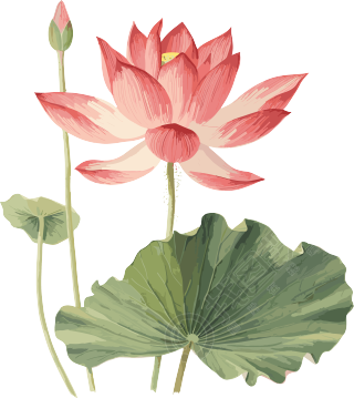 西周风格莲花水彩艺术元素