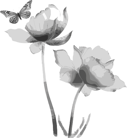 中国画风格花与蝴蝶插画元素