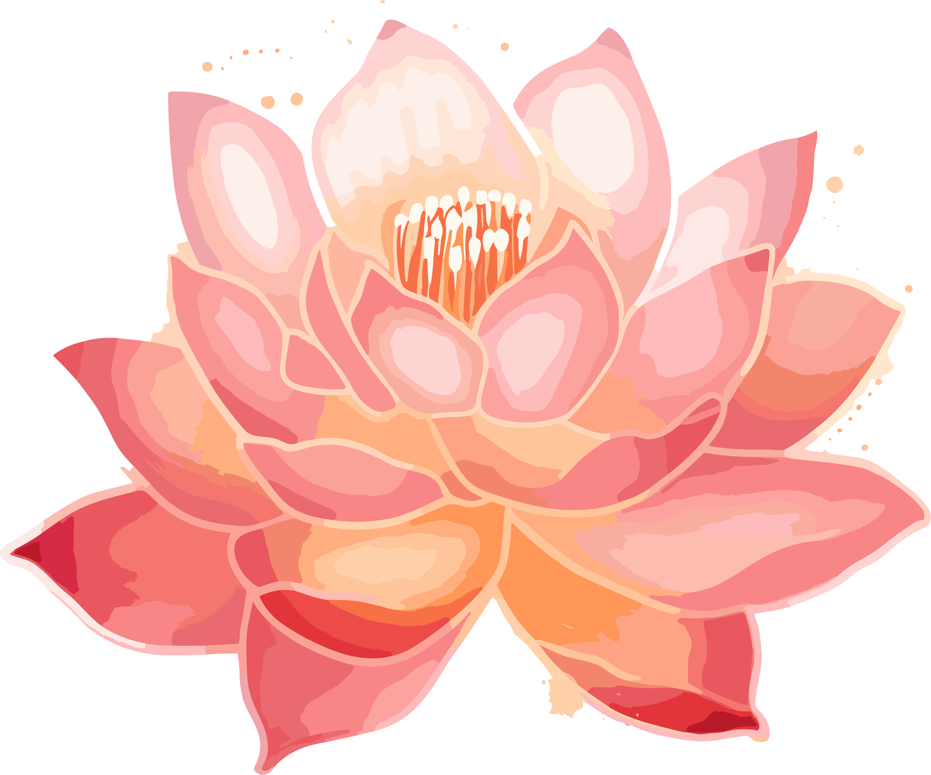 水彩粉色莲花光影手绘图案