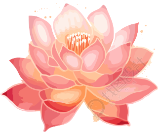 水彩粉色莲花光影手绘图案