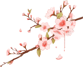 透明背景粉色桃花插画PNG