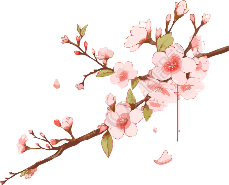 透明背景粉色桃花插画PNG