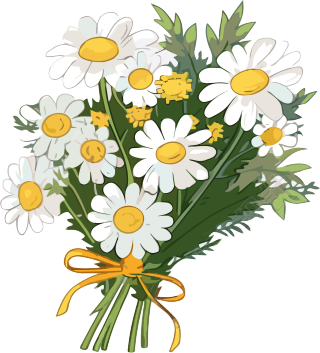 手绘扁平风小雏菊花束PNG素材
