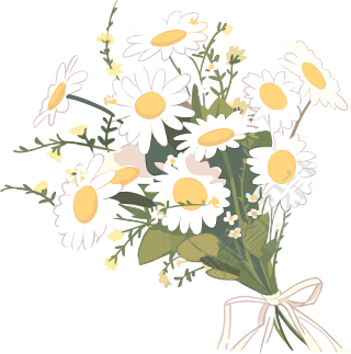 手绘扁平风格小雏菊花束PNG图形素材