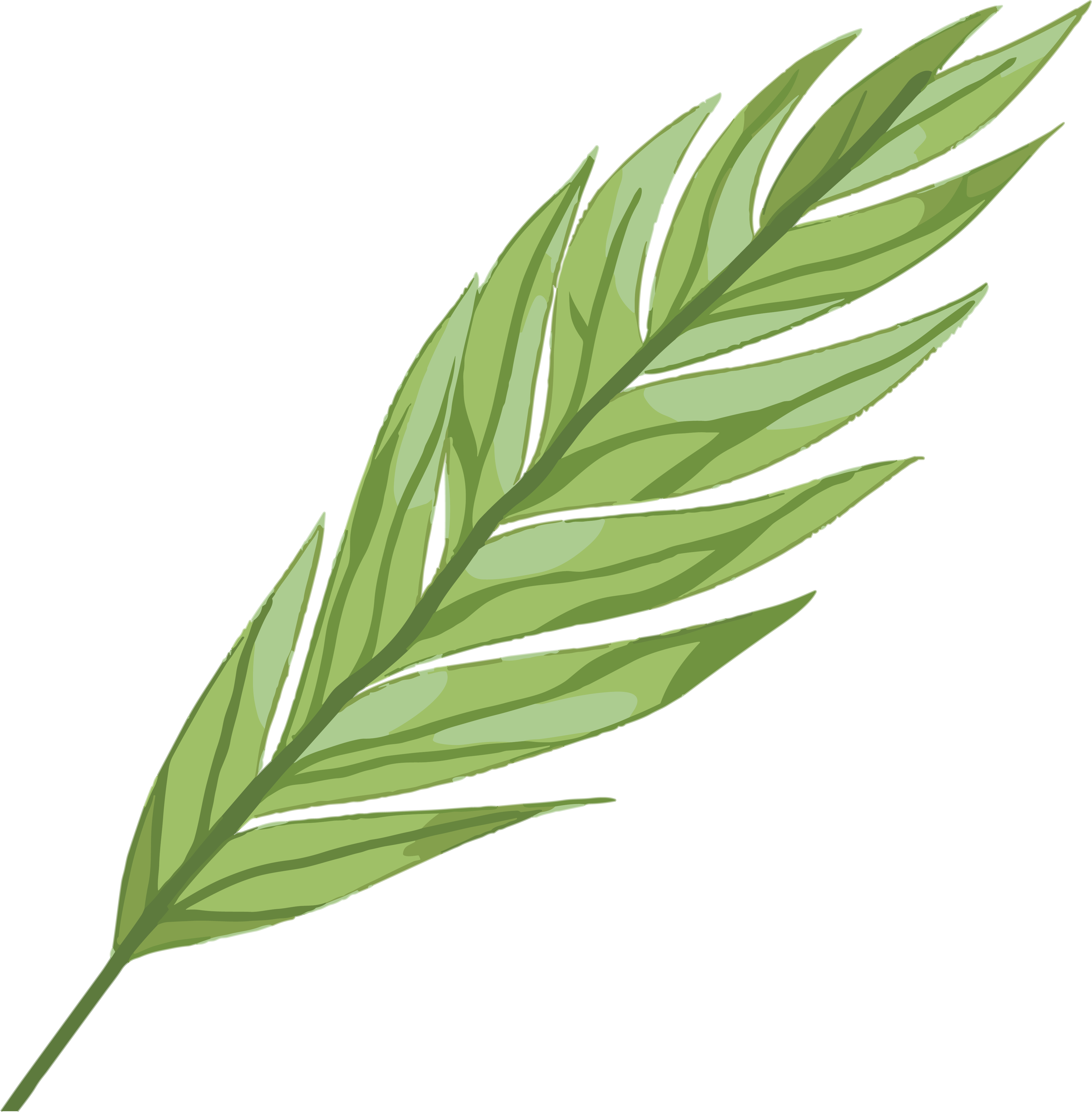 可商用绿叶透明背景插画