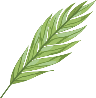 可商用绿叶透明背景插画