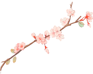 手绘樱花分支素材