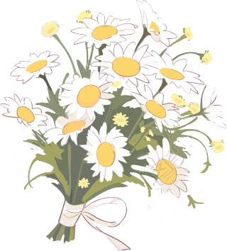 手绘扁平风格透明背景小雏菊花束PNG素材