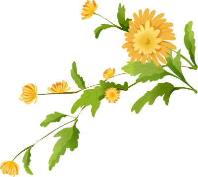 可商用黄色菊花绿色叶片PNG元素
