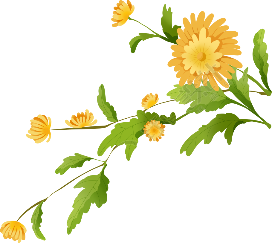 可商用黄色菊花绿色叶片PNG元素