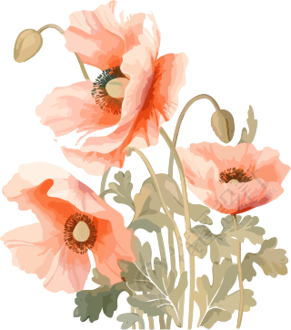 粉色花朵水彩画素材