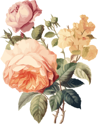 精美花卉插图