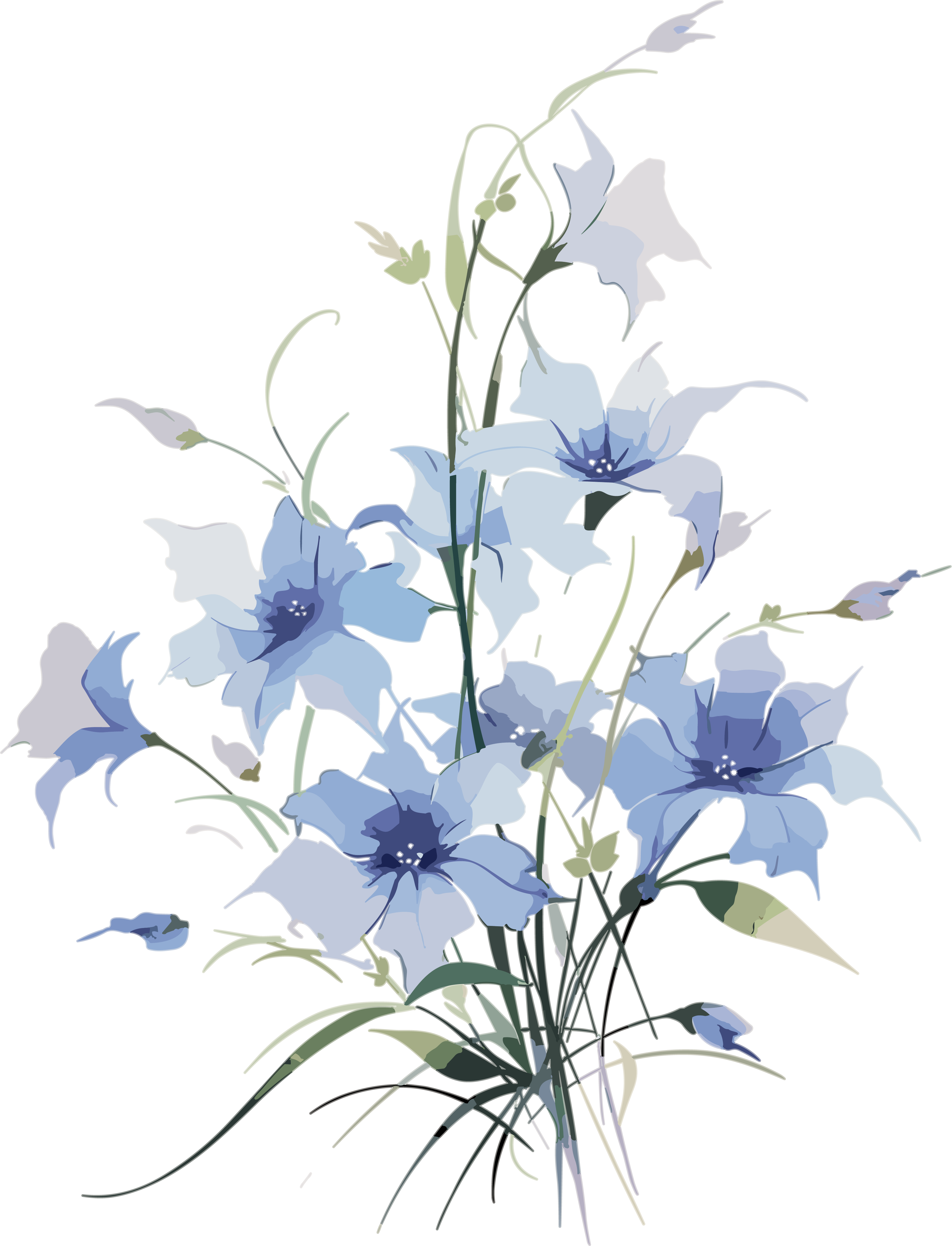水彩花束素描白底透明PNG图形素材