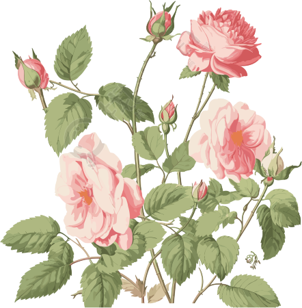 带叶子的复古玫瑰花剪贴画素材