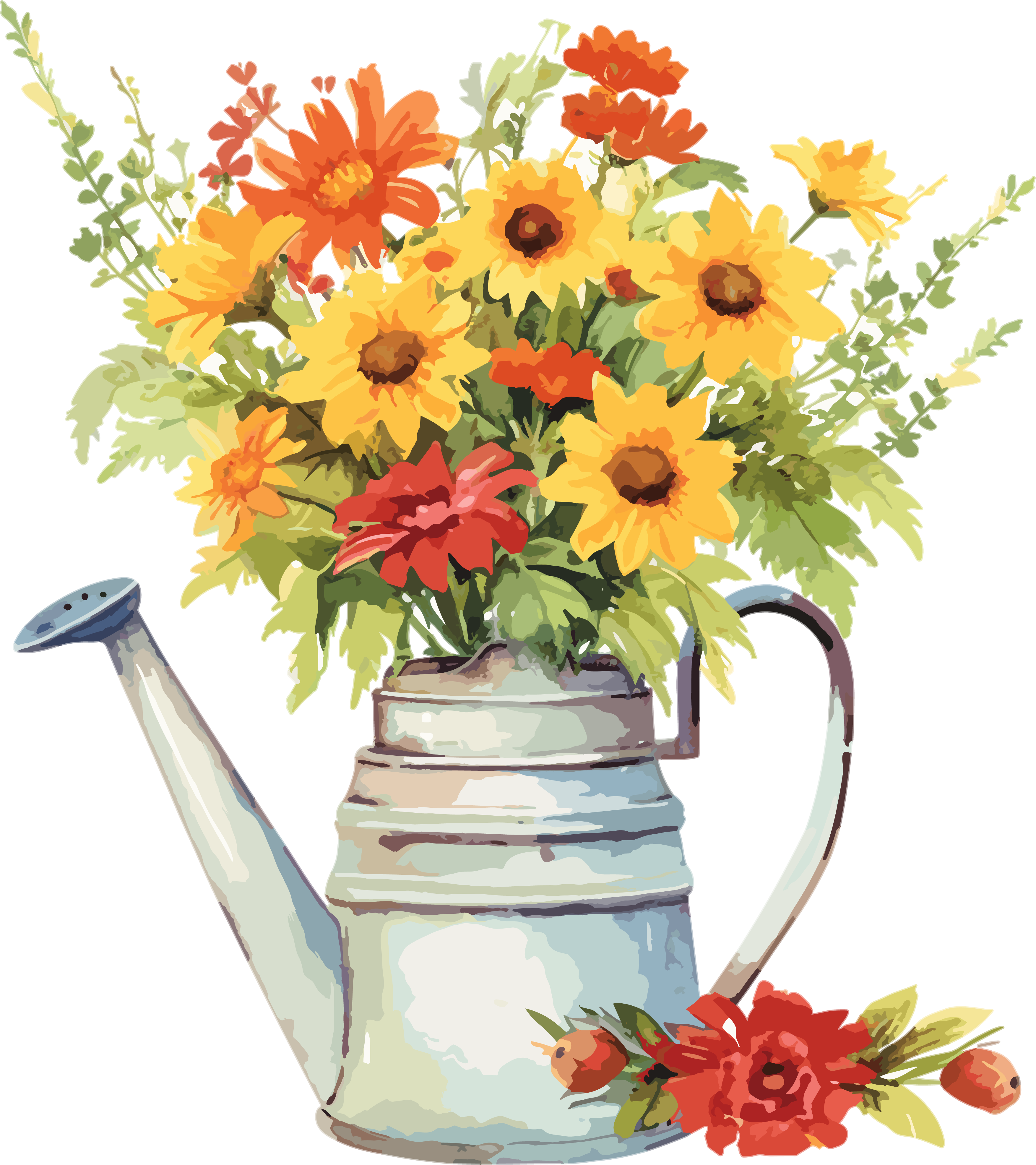 白底水彩花插图素材